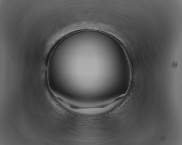 X0000091171507200708231453