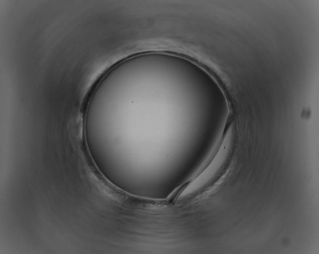 X0000091171509200708231453