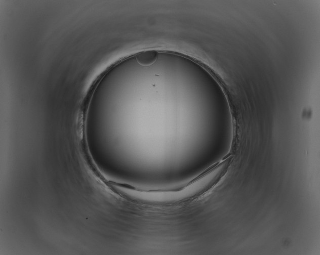 X0000091171510200708231453