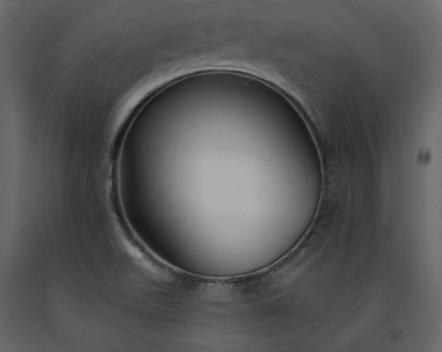 X0000091171511200708231453