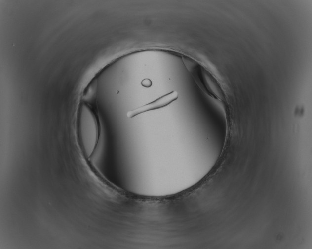 X0000091171512200708231453