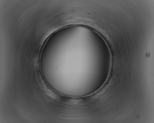 X0000091171513200708231453