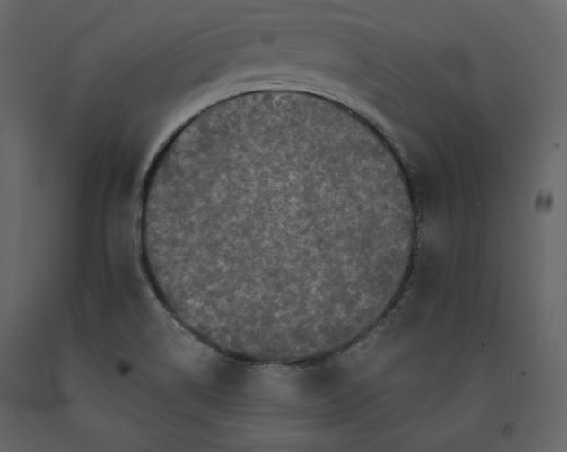 X0000091171514200708231453