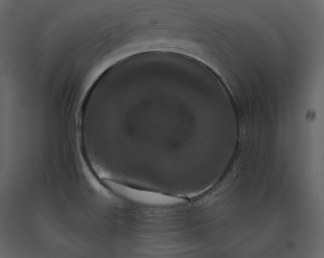 X0000091171515200708231453