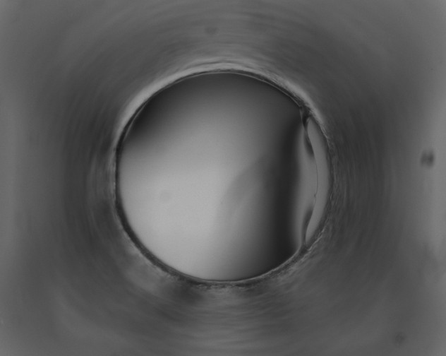 X0000091171516200708231453