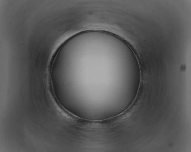 X0000091171517200708231453