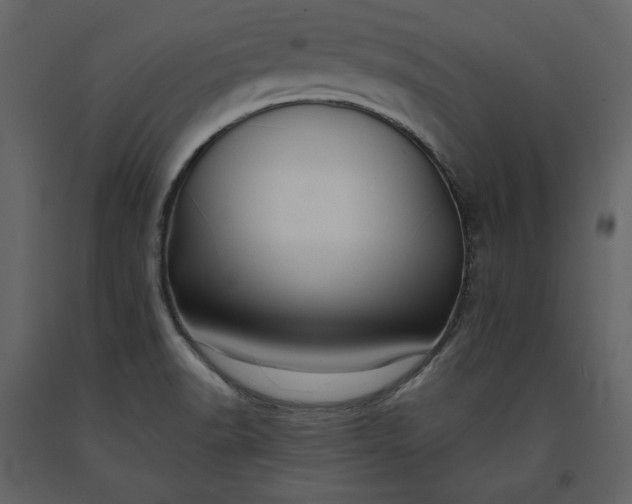 X0000091171518200708231453