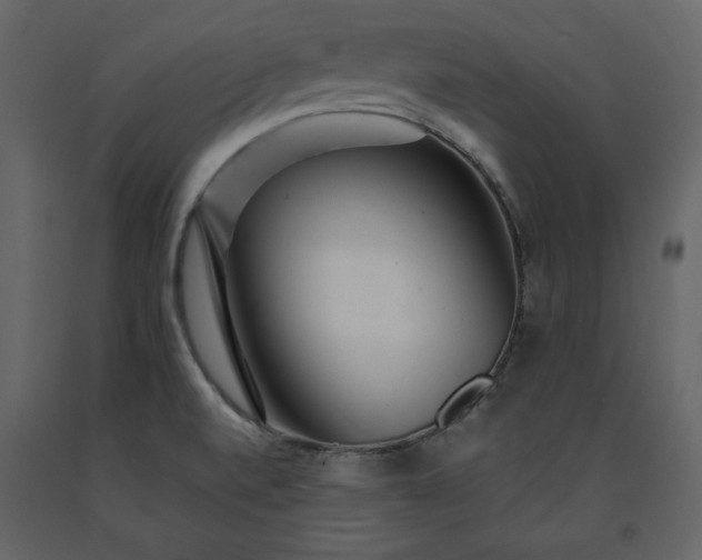 X0000091171520200708231453