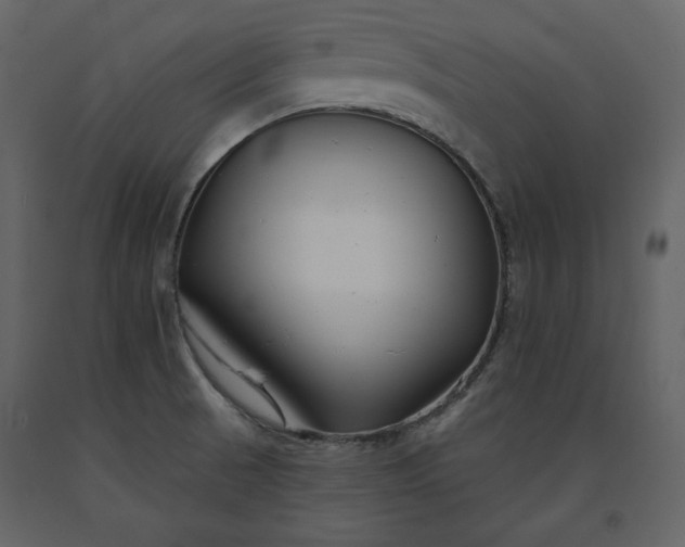 X0000091171521200708231453