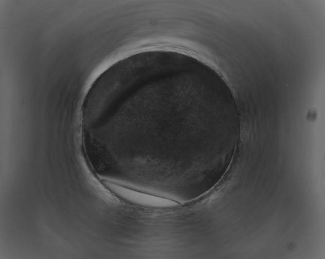 X0000091171522200708231453