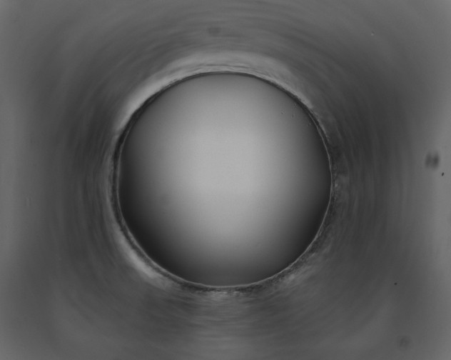 X0000091171523200708231453