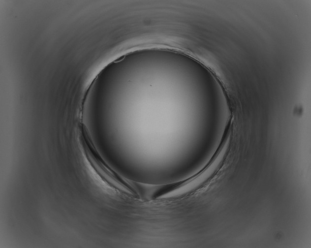 X0000091171524200708231453