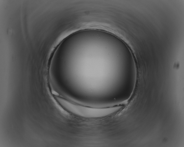 X0000091171525200708231453