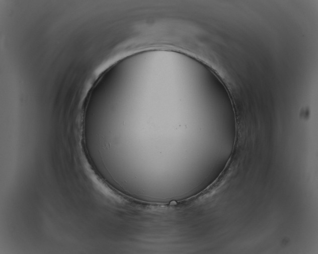 X0000091171526200708231453