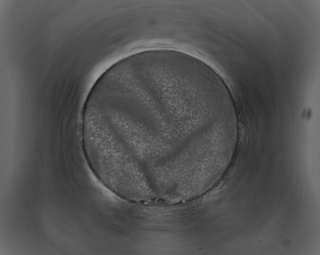 X0000091171527200708231453