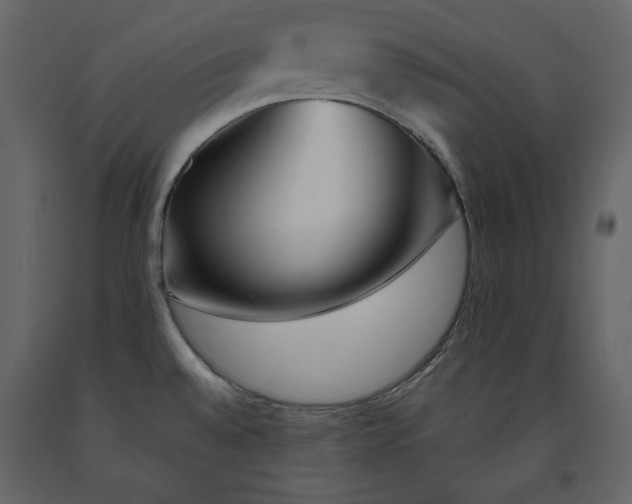 X0000091171528200708231453