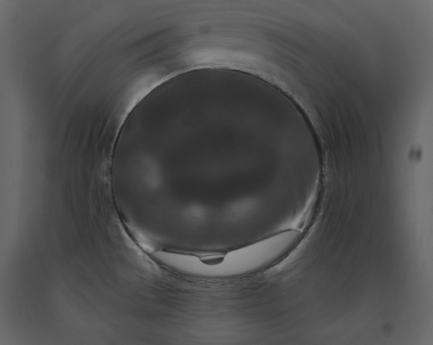 X0000091171529200708231453