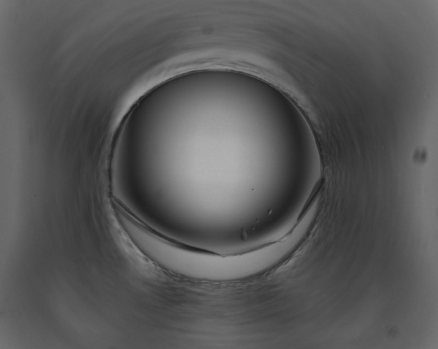 X0000091171530200708231453