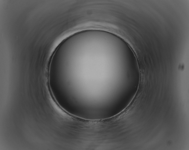 X0000091171531200708231453