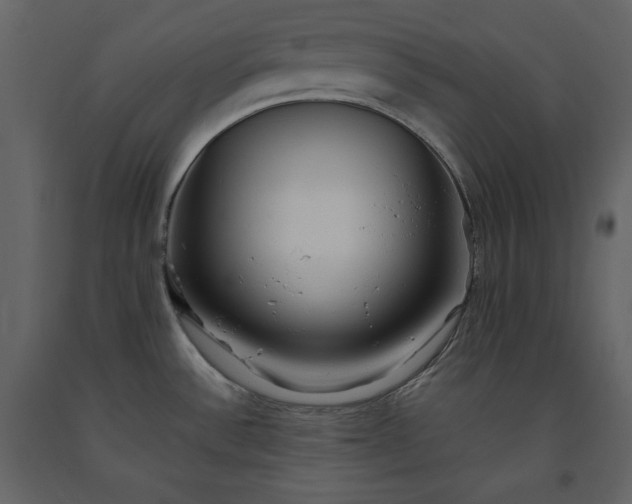 X0000091171532200708231453