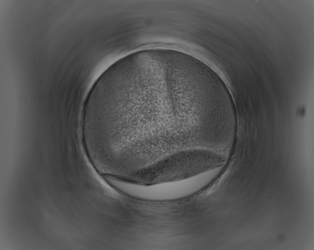 X0000091171533200708231453