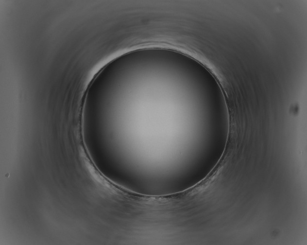 X0000091171534200708231453