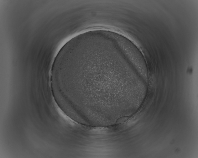 X0000091171535200708231453