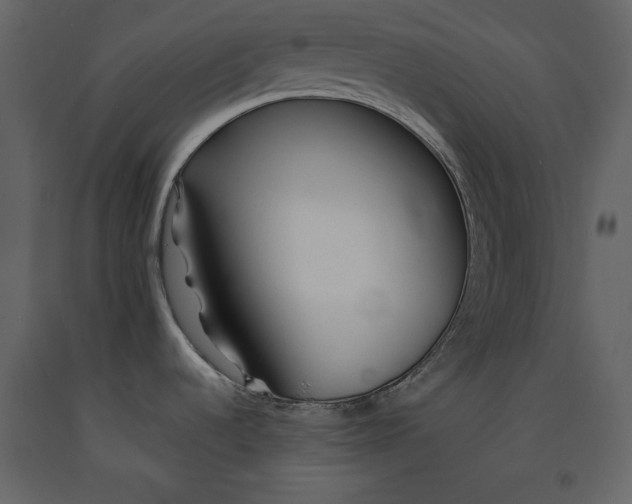 X0000091171536200708231454