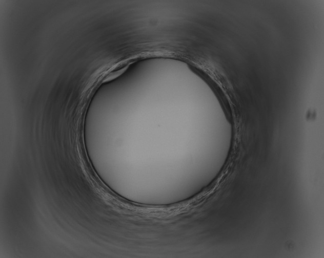 X0000091170001200708301205