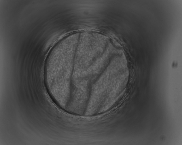 X0000091170002200708301205