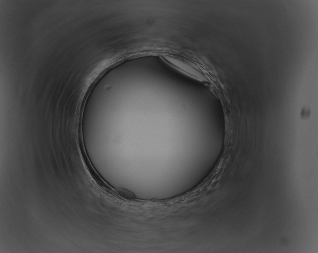 X0000091170003200708301205