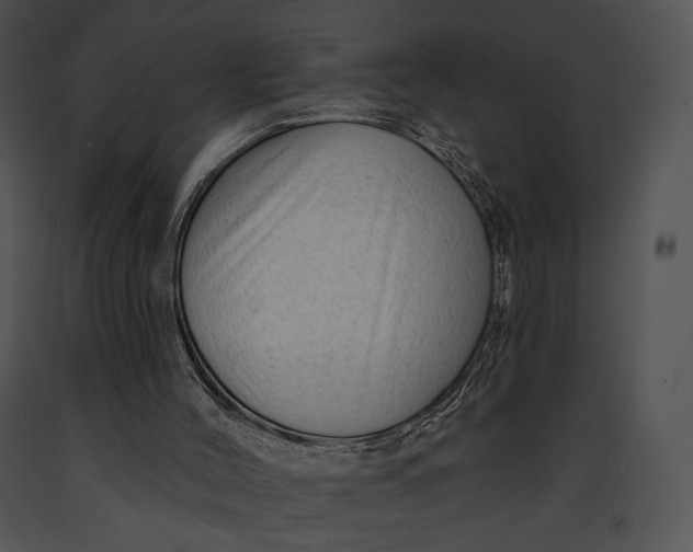 X0000091170004200708301205