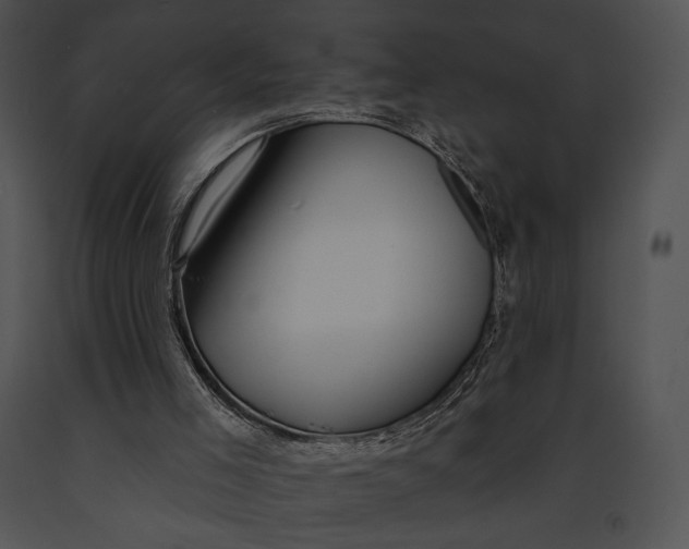 X0000091170005200708301205