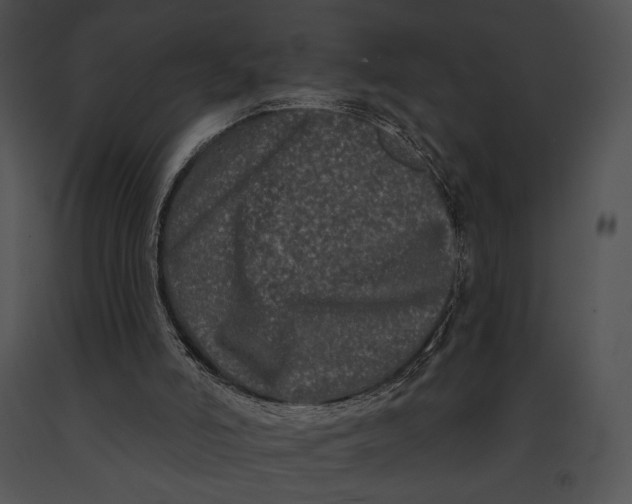 X0000091170006200708301205