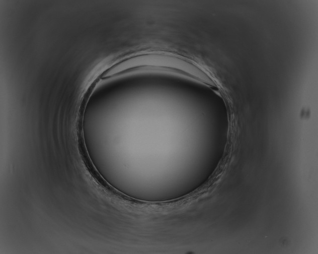 X0000091170007200708301205