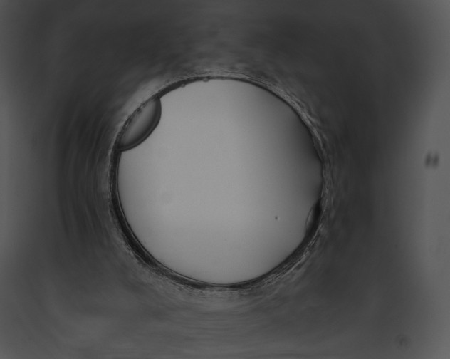 X0000091170008200708301205