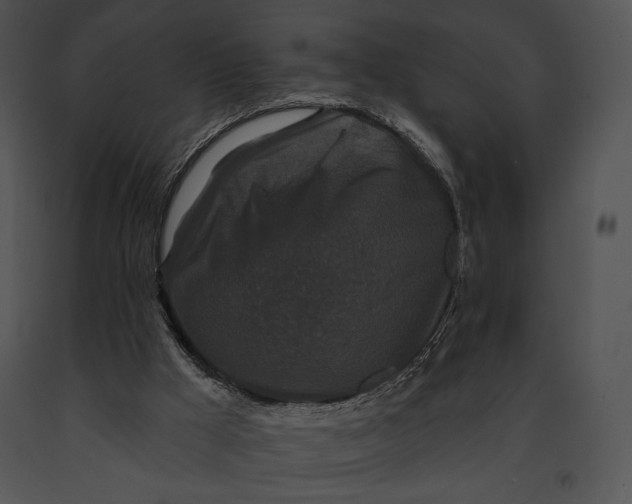 X0000091170009200708301205