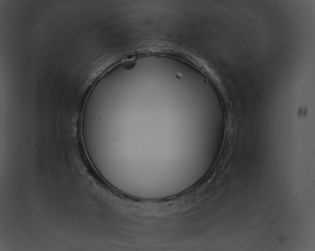 X0000091170010200708301205