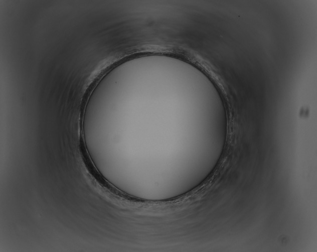 X0000091170011200708301205