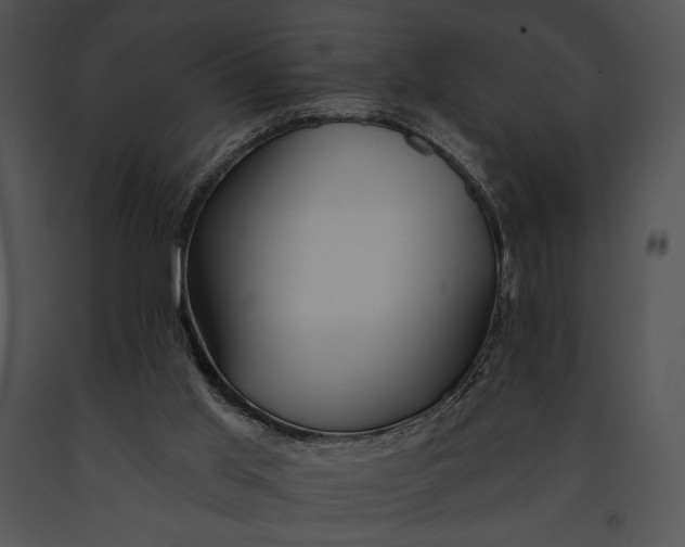 X0000091170013200708301205