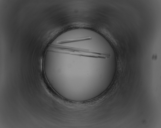 X0000091170014200708301205