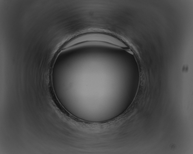 X0000091170015200708301205