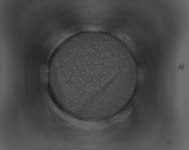 X0000091170016200708301205