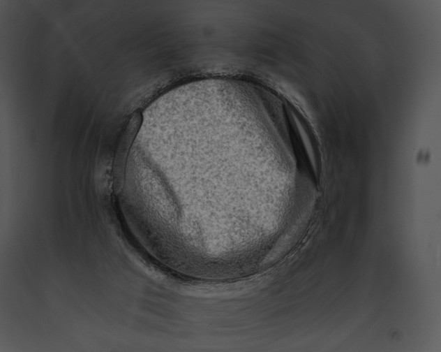 X0000091170017200708301205