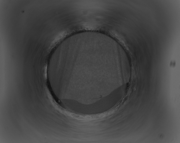 X0000091170019200708301205