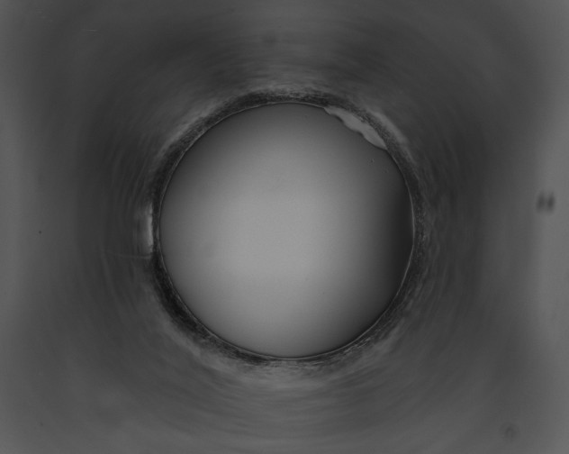 X0000091170020200708301205