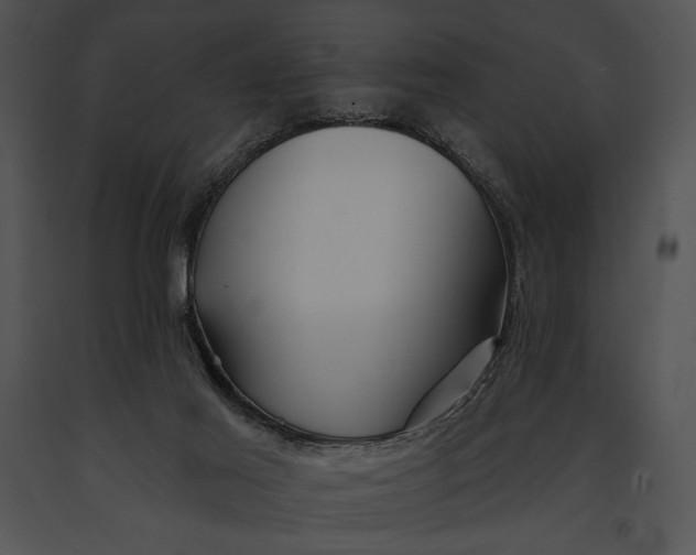 X0000091170021200708301205