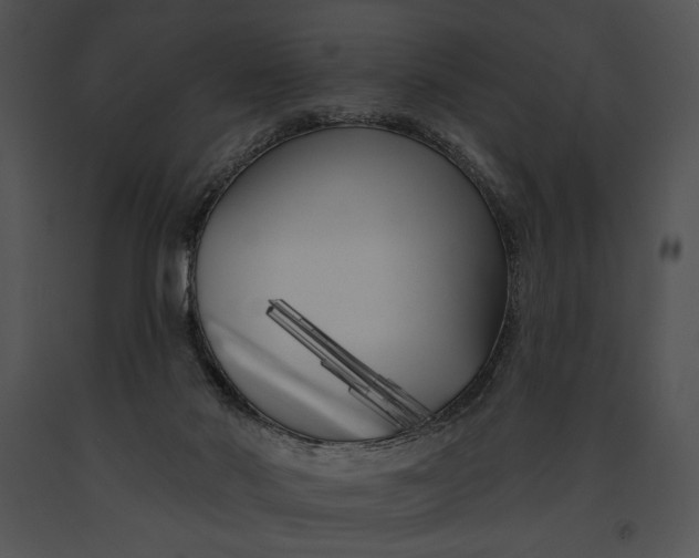 X0000091170022200708301205