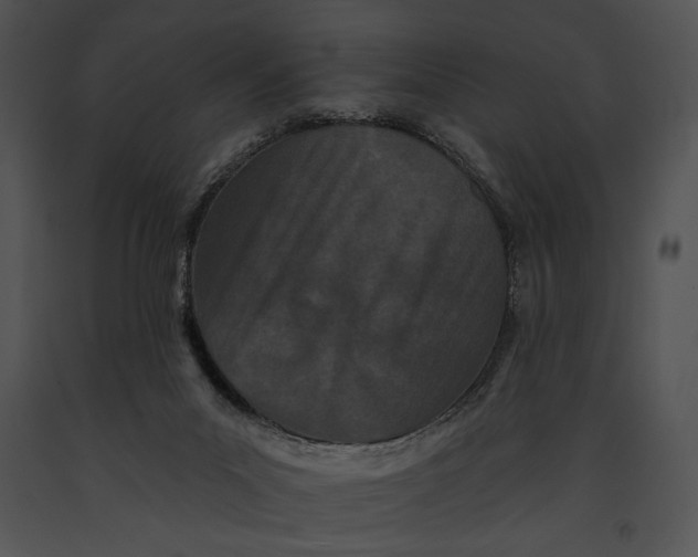 X0000091170023200708301205