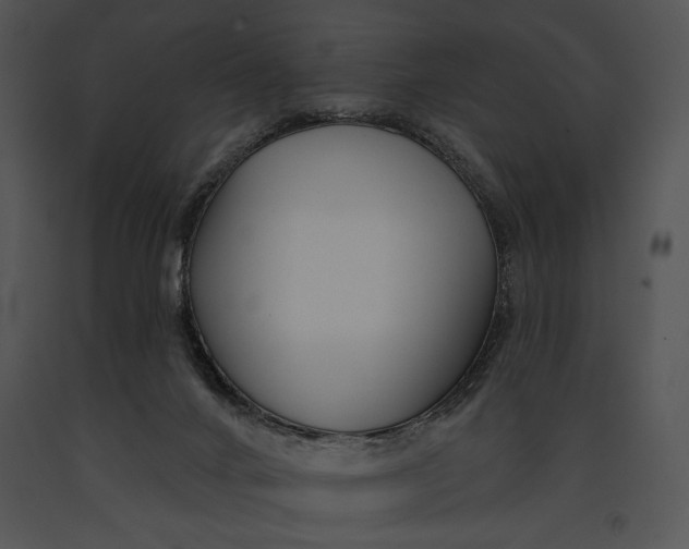 X0000091170024200708301205